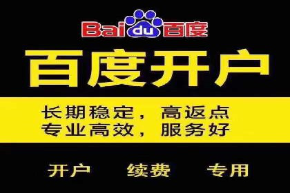 竞价广告的胜利：网络推广在金融行业的经典案例